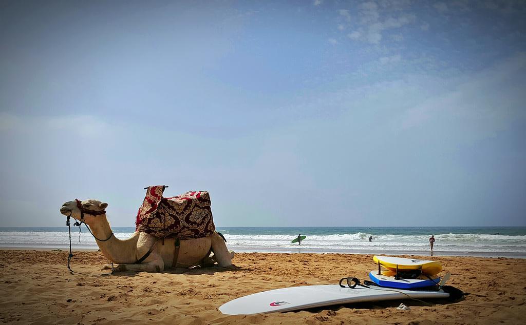 Zen Surf Beach House Hotel Aourir Luaran gambar